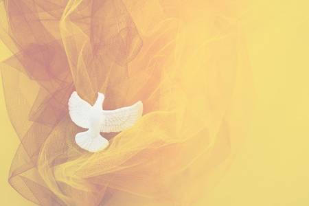 Quelle: canva.com