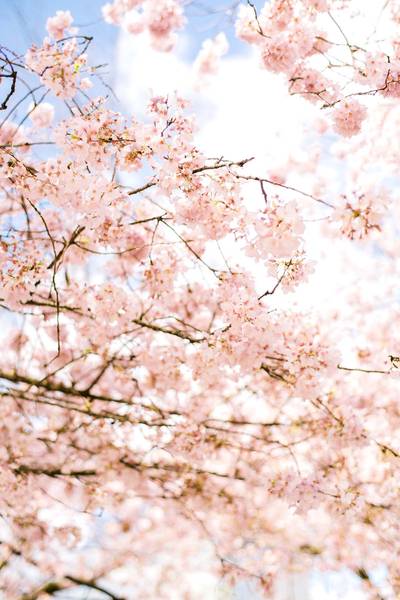 Quelle: katie-moum@ unsplash.com